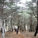 청도의하루 이미지