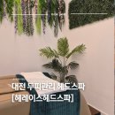 헤레이스 | 대전두피케어 찾는다면 무조건 여기｜𝐇𝐀𝐑𝐀𝐂𝐄 헤드스파 리얼 후기