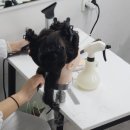 헤어시나리오 네이버블로그