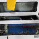 착한낙지목동점 이미지