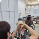 목공 기초 수업반(야간) | 신림애견미용학원 야간수업, 왜 직장인들에게 인기일까