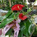 오천당구장 이미지