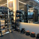 골든헬스 이미지