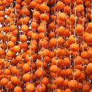 반딧불농원 이미지