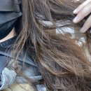 로이드밤 정관점 | 정관 로이드밤 클리닉 후기 / 서비스 / 매장청결상태