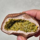 될 놈 마켓 | 오늘앤과일 공구마켓 두쫀쿠 두바이쫀득쿠키 후기