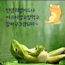 8월5일 월요일 오늘의 책속의 한마디 이미지