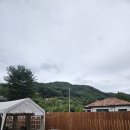 명월길500