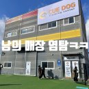 큐독 | 광주 반려견교육센터_큐독 다녀왔어요!
