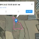 읍내리농로 이미지