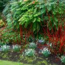 수종가든 이미지