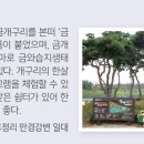 금와 이미지