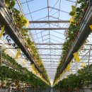 용수 농장 이미지