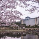 호원대학교2