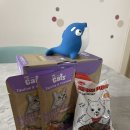 펫마트 강아지 논산점 이미지