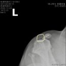 문산동물병원 - 파주시 문향로 35 | 문산동물병원
