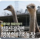 현경농장 이미지