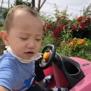 농부와돌집민박 이미지