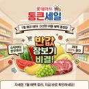 롯데마트 통큰세일 7월 혜택 정리, 수박부터 한우까지 반값 장보기 비결