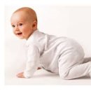 네발친구들 이미지