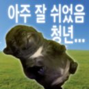 청년피자울산농소점 | 그냥 잘 놀았음 청년 ...