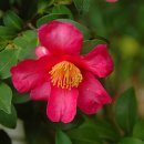 이화원(온실) 이미지