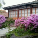 내인생의 봄날 이미지