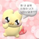 뉴네일 이미지