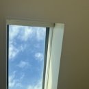 스테이선자우 이미지