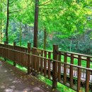 대불공원 좌측 이미지