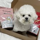 이치덴탈 이미지