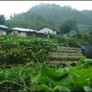 두메산골 이미지