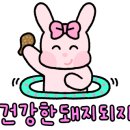 샤브야월남쌈구이&샤브