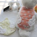 멍이날개 이미지