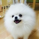 안녕하세요 이미지