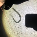 마리의냉장고 이미지