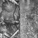 토마토인터넷 이미지