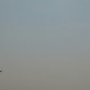 탑동 테마거리 이미지