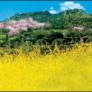 유달산