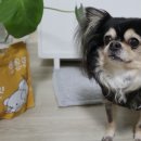 아모망