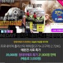 퍼피원데이 네이버블로그