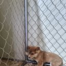 팔산리마을회관 이미지