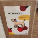 더조잇 | 기분조잇 피자 스파게티