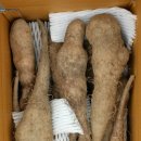 김호식농장 이미지