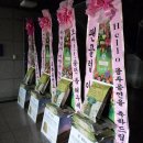 '2013 조용필 전국투어콘서트 대구 앵콜 공연 'HELLO' 조용필 응원 쌀드리미화환 - 쌀화환 드리미 이미지