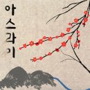 우일 스타뉴스