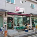 콩캣 이미지