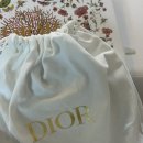 MM 소프트 | 디올 새들 벨트 20 mm 75 사이즈 구매 후기 울트라 소프트 송아지 가죽