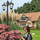 쉴만한 맑은물가 | 양평 가볼만한곳 더그림 카페 가을꽃구경 10월여행지추천