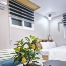 호텔소풍 | 대전 빵지순례 성심당 근처 숙소 소풍 호텔 후기 중앙로역 도보 4분 대전여행 숙소